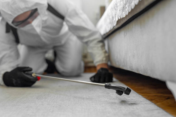 Professional Cockroach Control technician working in Terryville, CT